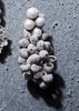 Ussé Earrings