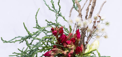 Harmonie Florale